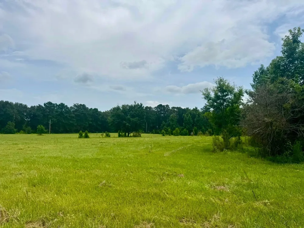 3882 Co Rd 4875 Warren, TX 77664