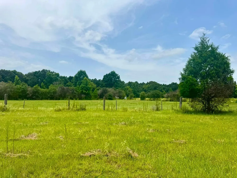 3882 Co Rd 4875 Warren, TX 77664
