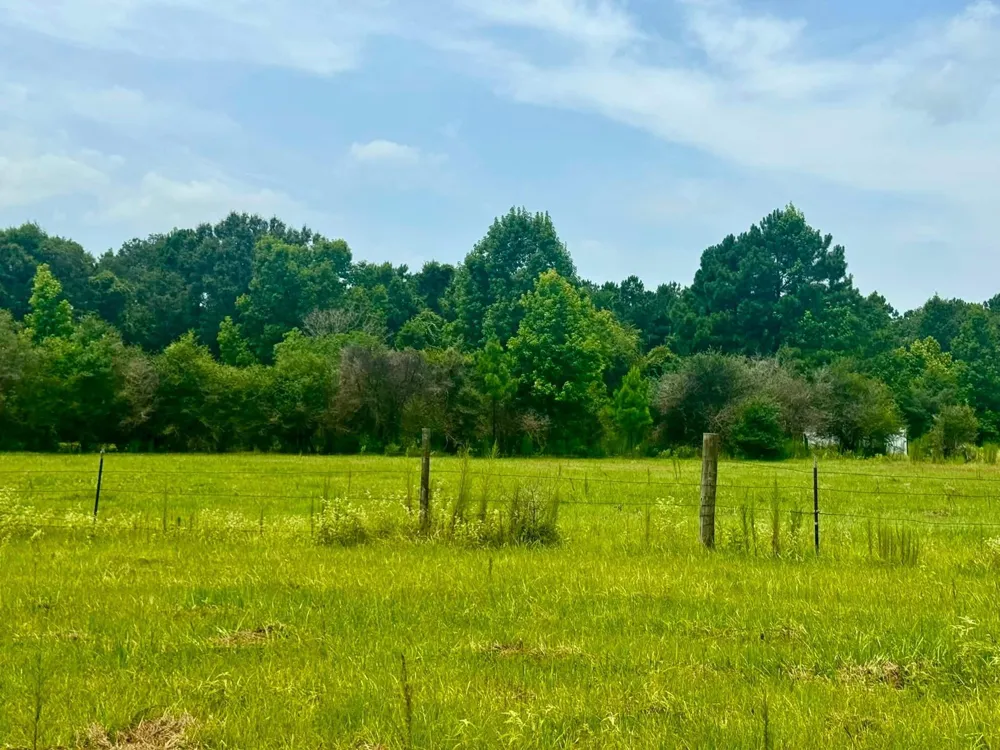 3882 Co Rd 4875 Warren, TX 77664