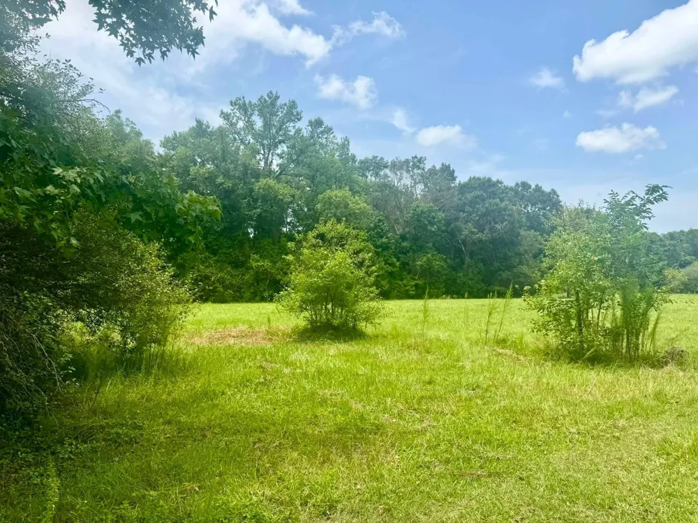 3882 Co Rd 4875 Warren, TX 77664