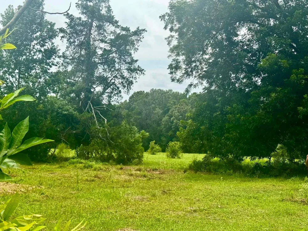 3882 Co Rd 4875 Warren, TX 77664