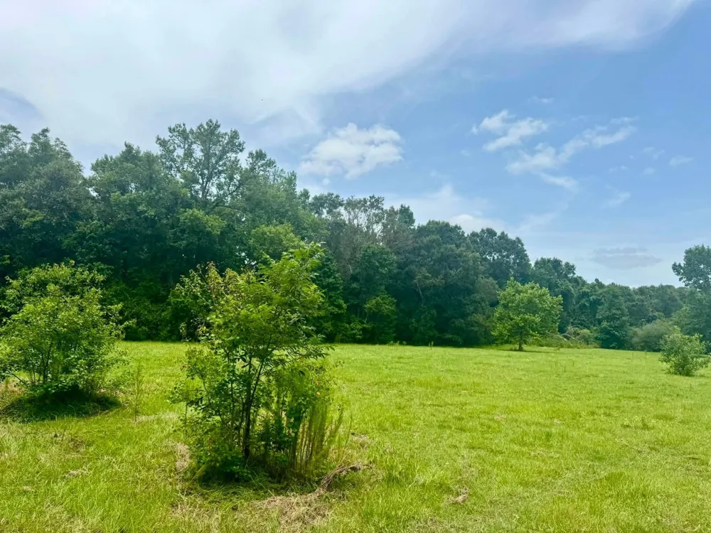 3882 Co Rd 4875 Warren, TX 77664