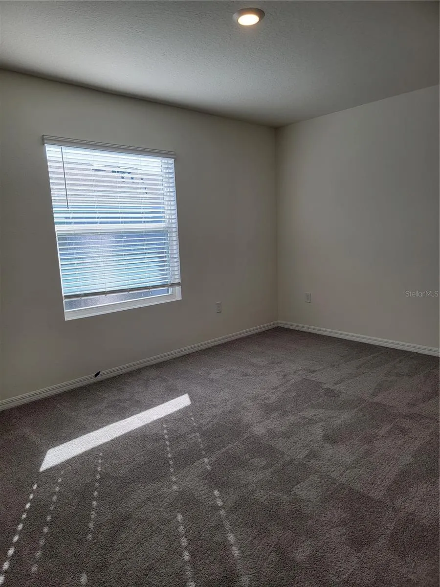 2892 EVERGREEN ELM PASS Wesley Chapel, FL 33543