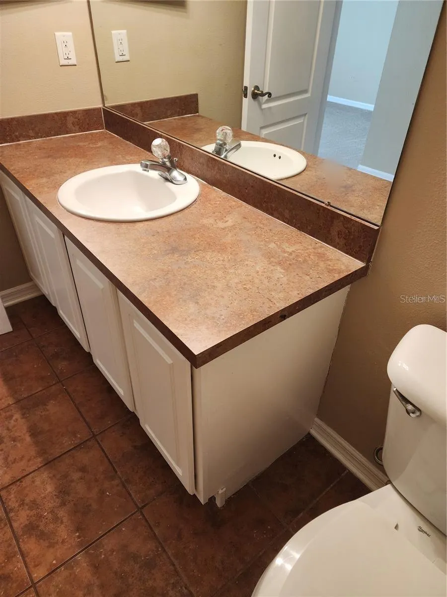 15924 FISHHAWK CREEK LANE Lithia, FL 33547