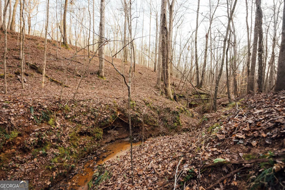 28.61 ACRES Sandy Creek RD Madison, GA 30650