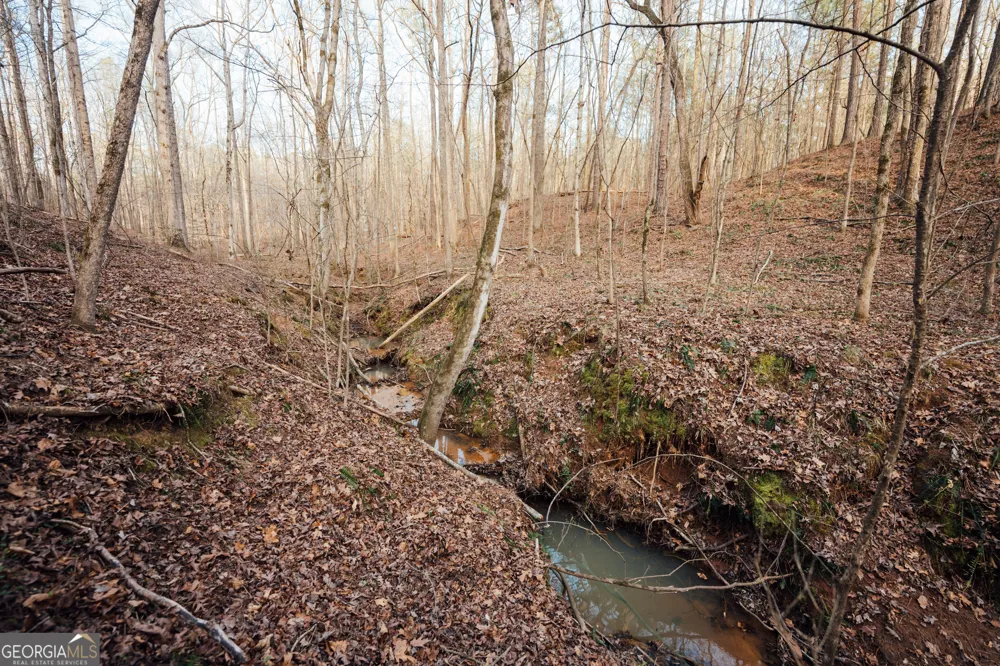 28.61 ACRES Sandy Creek RD Madison, GA 30650
