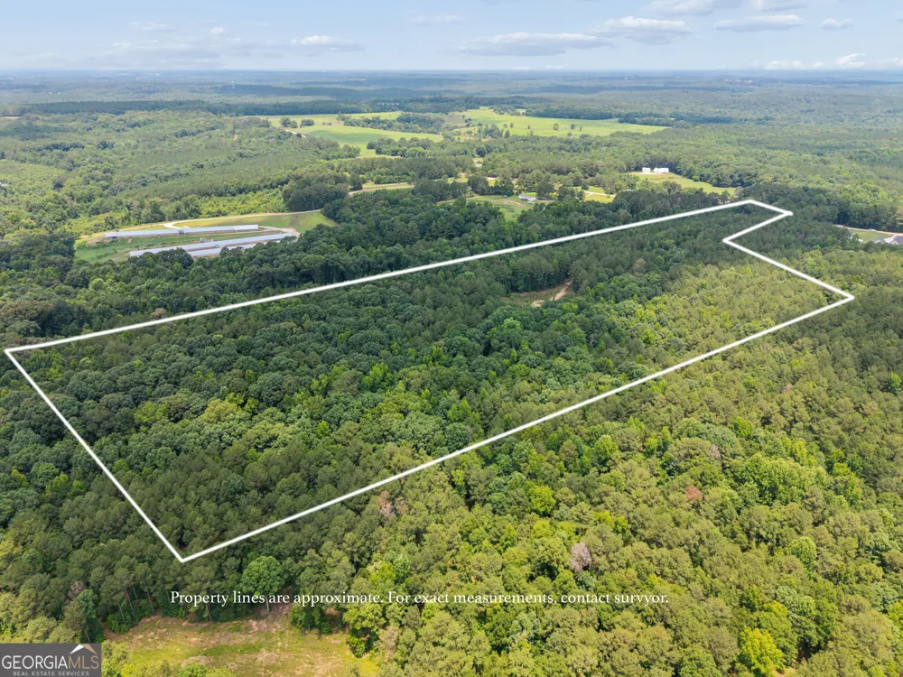 28.61 ACRES Sandy Creek RD Madison, GA 30650