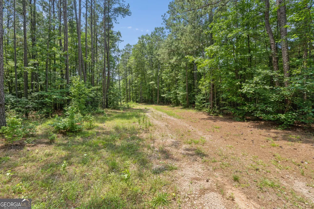 28.61 ACRES Sandy Creek RD Madison, GA 30650