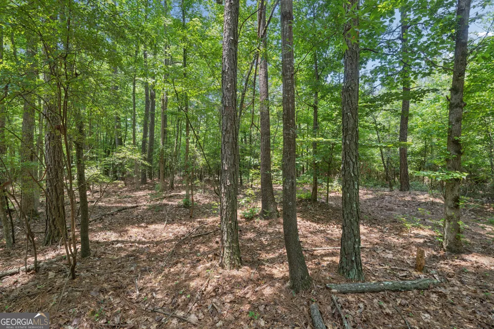 28.61 ACRES Sandy Creek RD Madison, GA 30650
