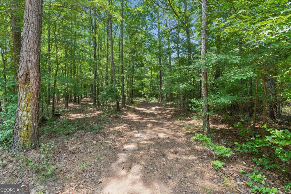 28.61 ACRES Sandy Creek RD Madison, GA 30650