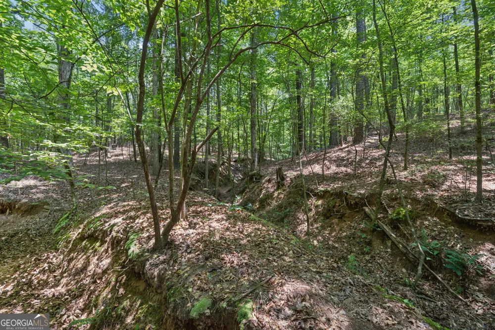28.61 ACRES Sandy Creek RD Madison, GA 30650