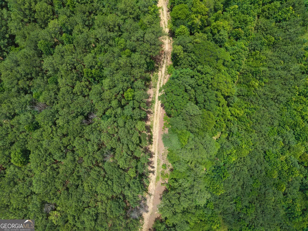 28.61 ACRES Sandy Creek RD Madison, GA 30650