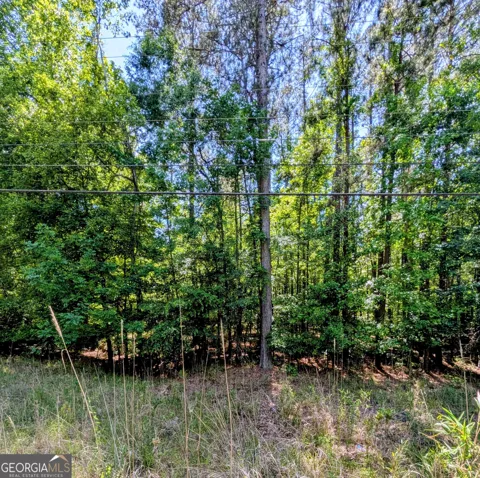 LOT 73 AND 238 Island Creek DR