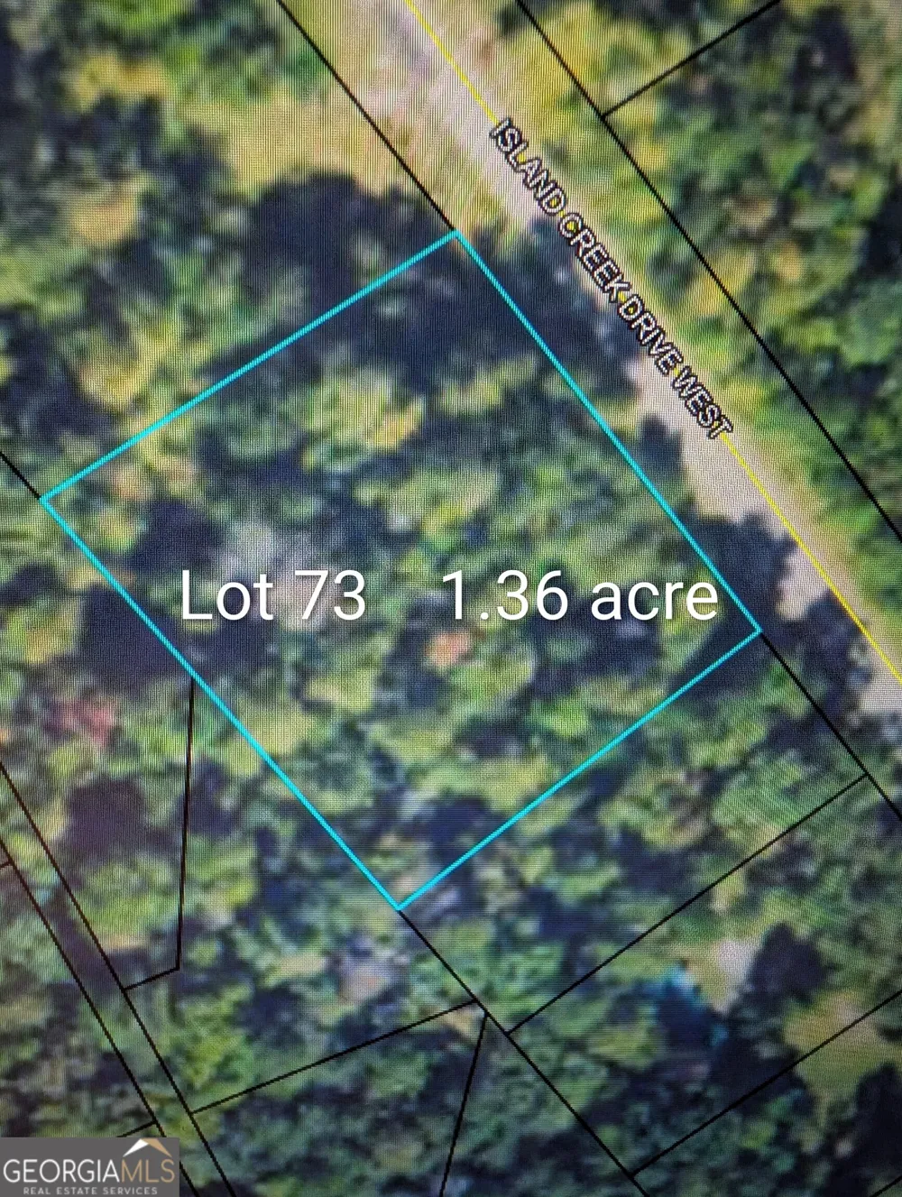 LOT 73 AND 238 Island Creek DR Sparta, GA 31087