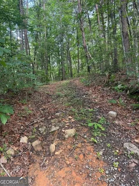 10.96 AC Paramount TRL