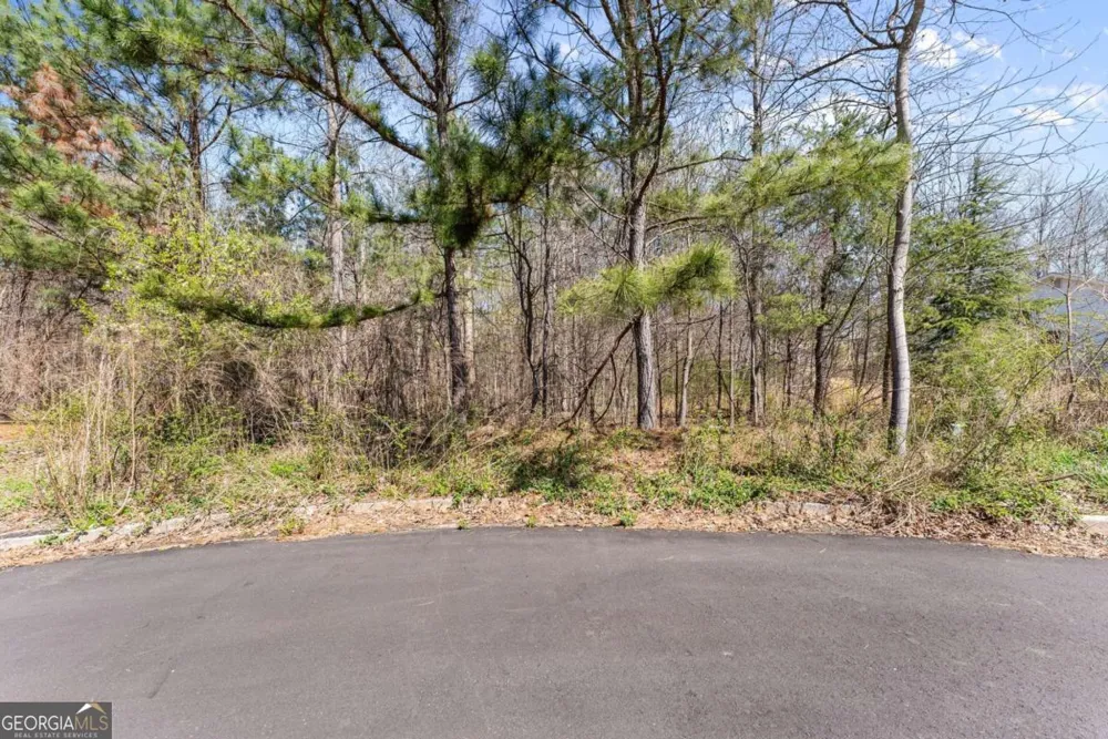 4055 Vintage CT Cumming, GA 30041