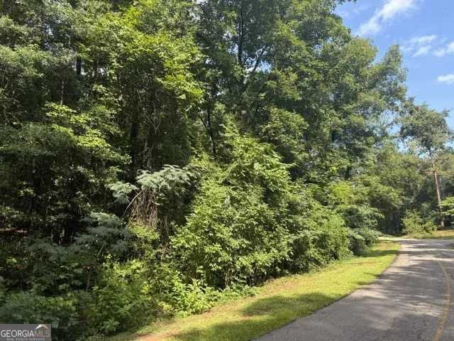 0 Alexander Way Fort Valley, GA 31030