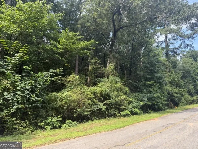 0 Alexander Way Fort Valley, GA 31030