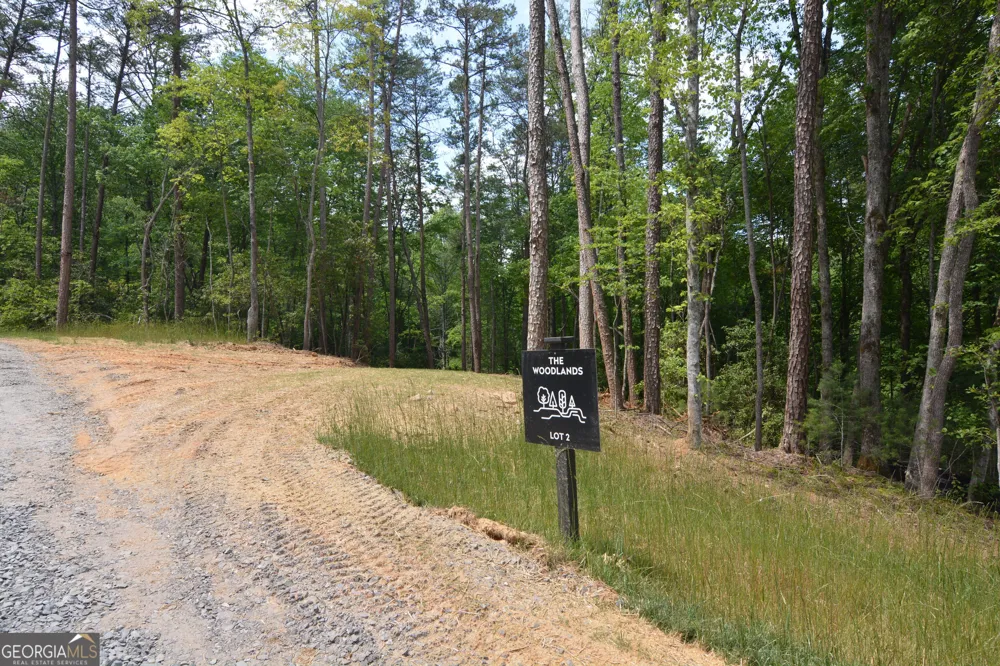 LOT 2 Murphy Hwy (Spur 60) Mineral Bluff, GA 30559