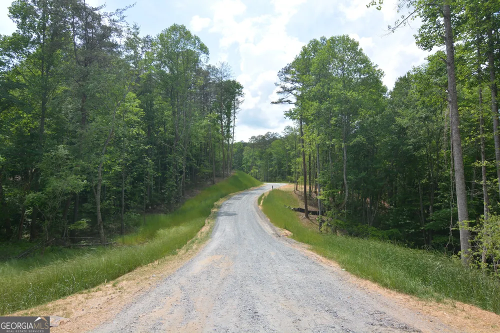 LOT 2 Murphy Hwy (Spur 60) Mineral Bluff, GA 30559