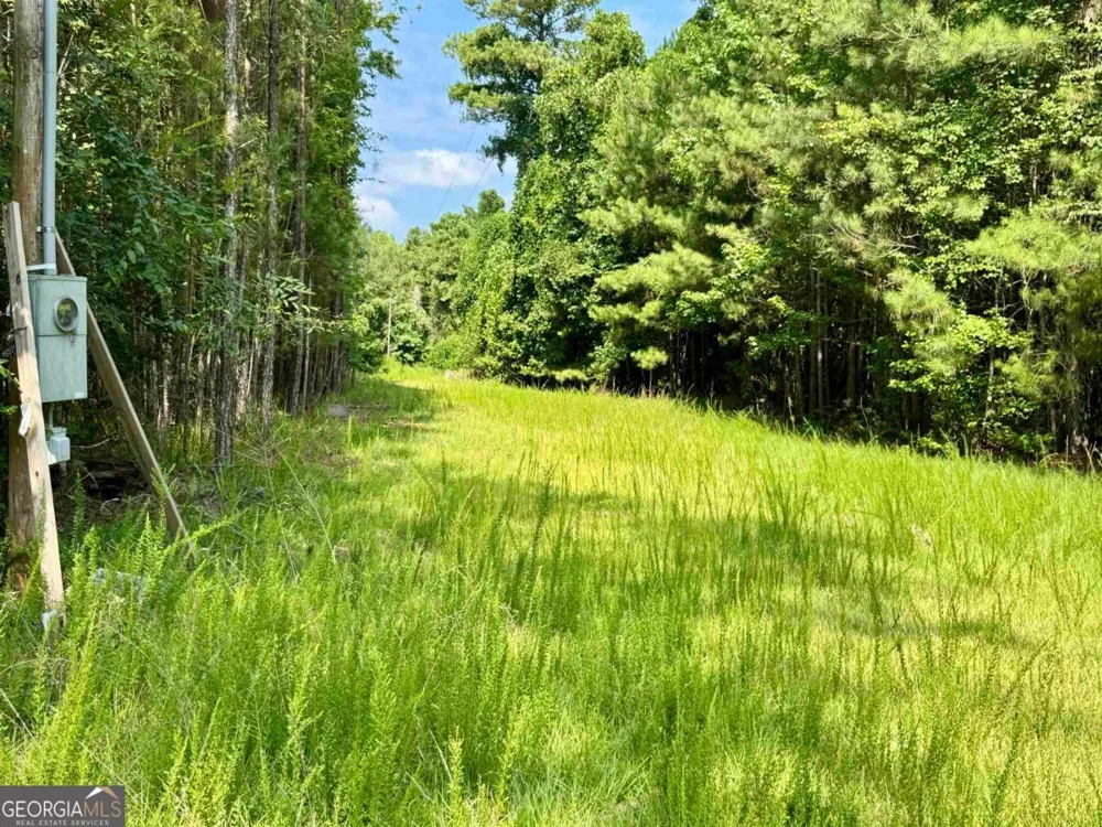 0 Springfield / Turner RD Union Point, GA 30669