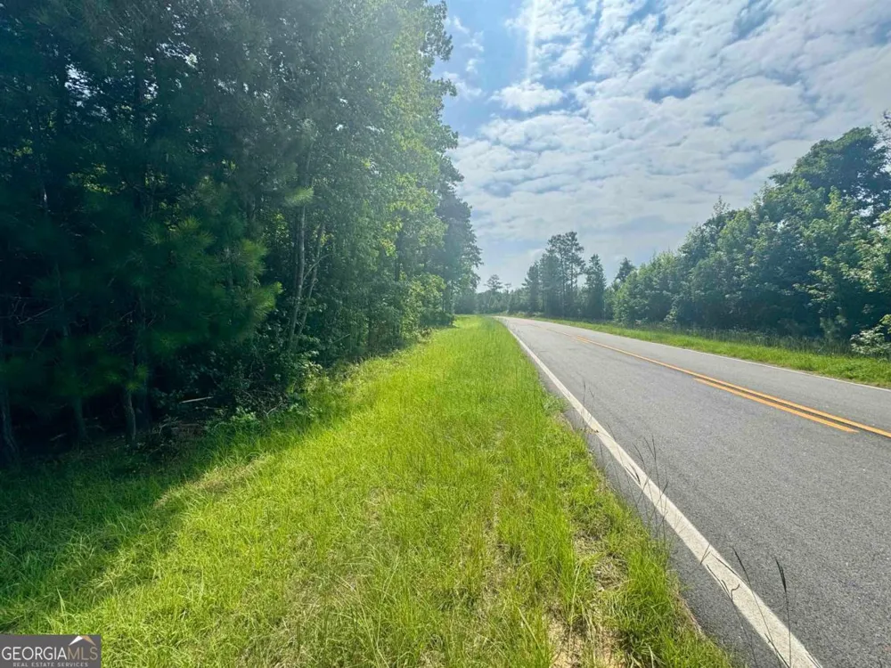 0 Springfield / Turner RD Union Point, GA 30669