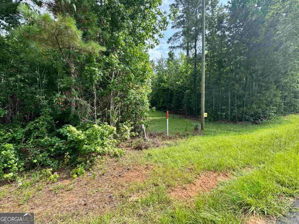 0 Springfield / Turner RD Union Point, GA 30669