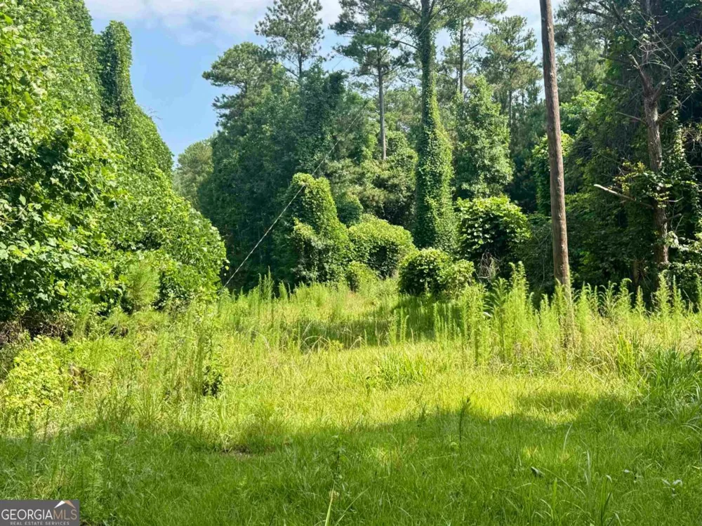 0 Springfield / Turner RD Union Point, GA 30669