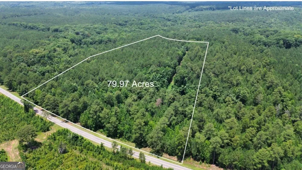 0 Springfield / Turner RD Union Point, GA 30669