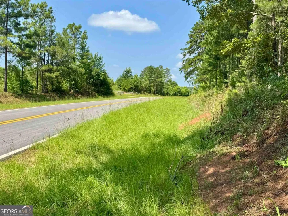 0 Springfield / Turner RD Union Point, GA 30669