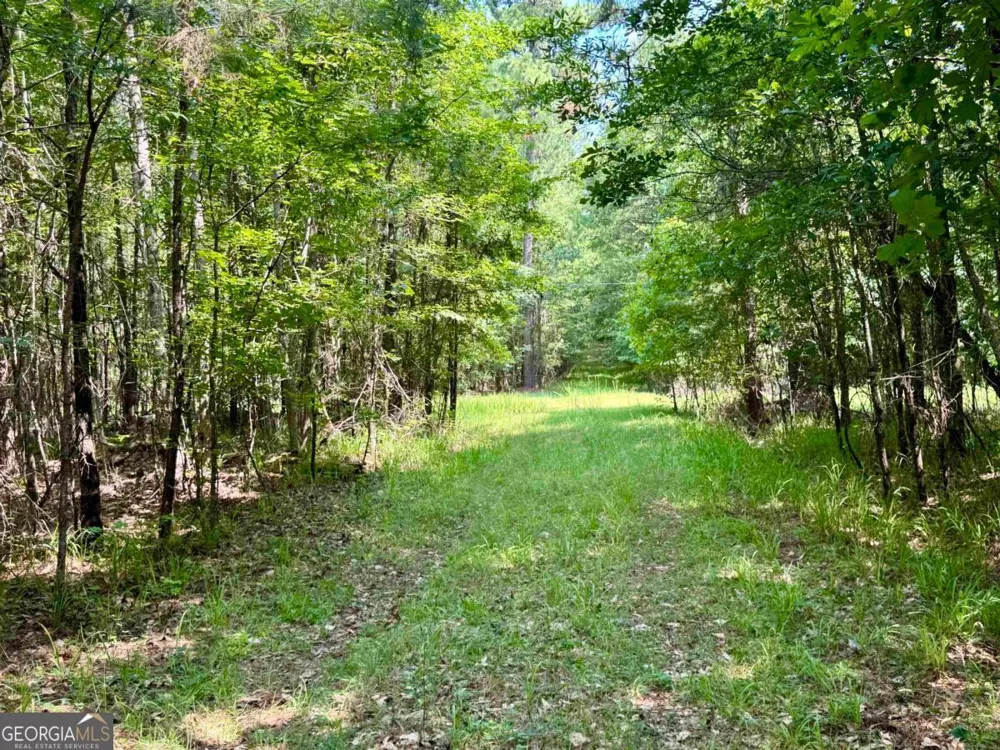 0 Springfield / Turner RD Union Point, GA 30669