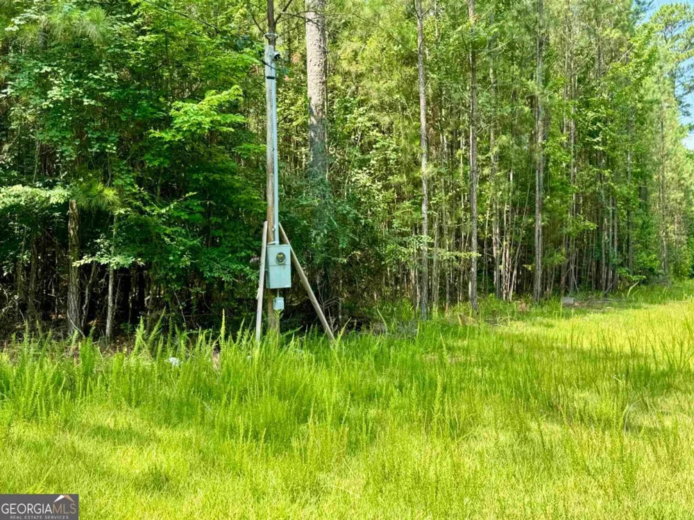 0 Springfield / Turner RD Union Point, GA 30669