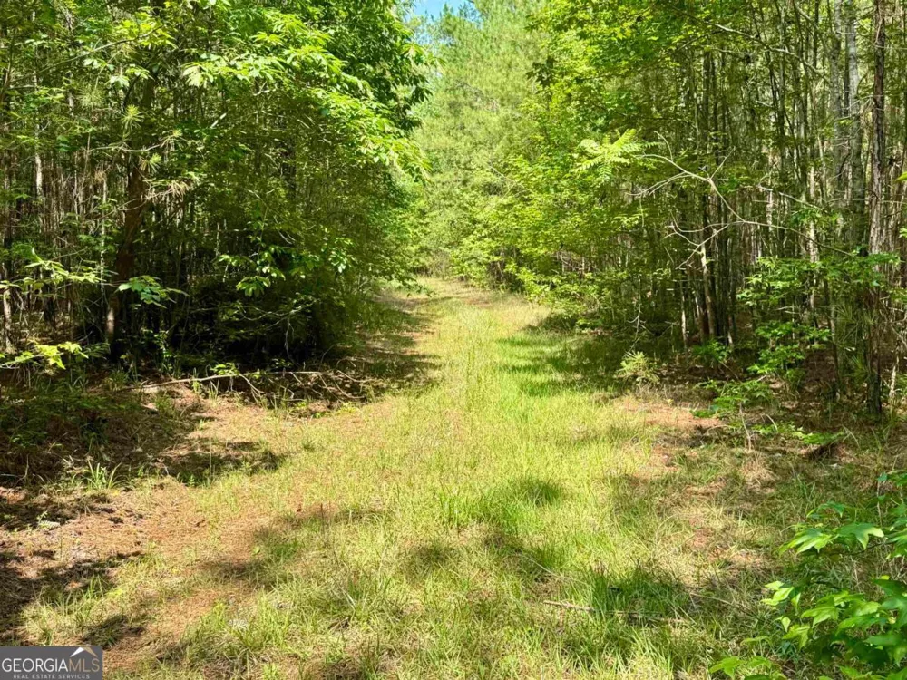 0 Springfield / Turner RD Union Point, GA 30669