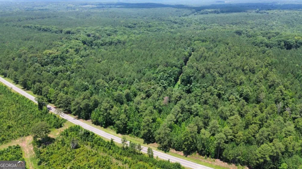 0 Springfield / Turner RD Union Point, GA 30669