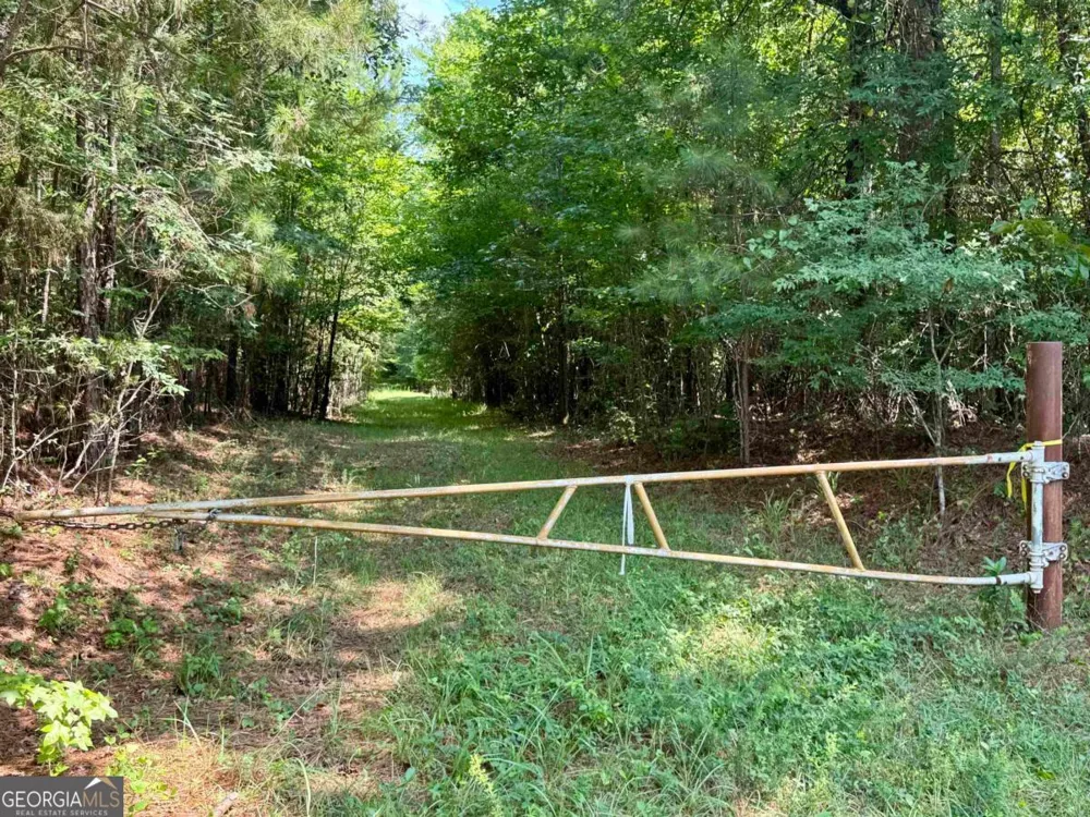 0 Springfield / Turner RD Union Point, GA 30669