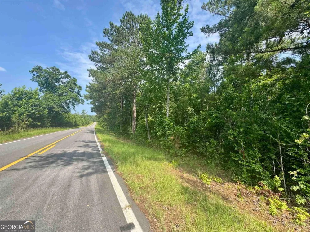 0 Springfield / Turner RD Union Point, GA 30669