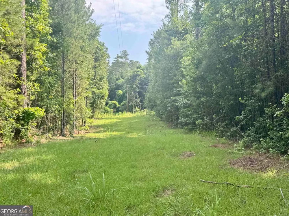 0 Springfield / Turner RD Union Point, GA 30669