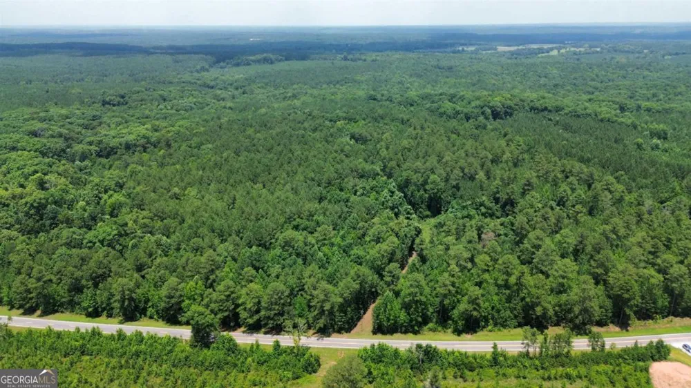 0 Springfield / Turner RD Union Point, GA 30669