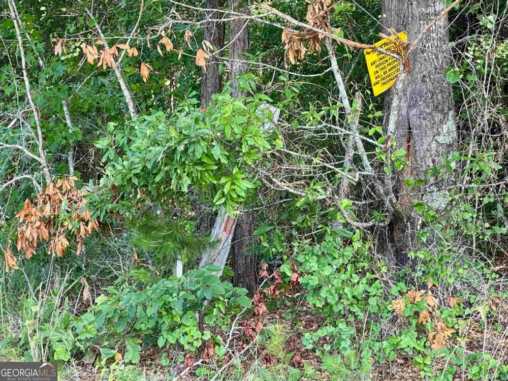 0 Springfield / Turner RD Union Point, GA 30669