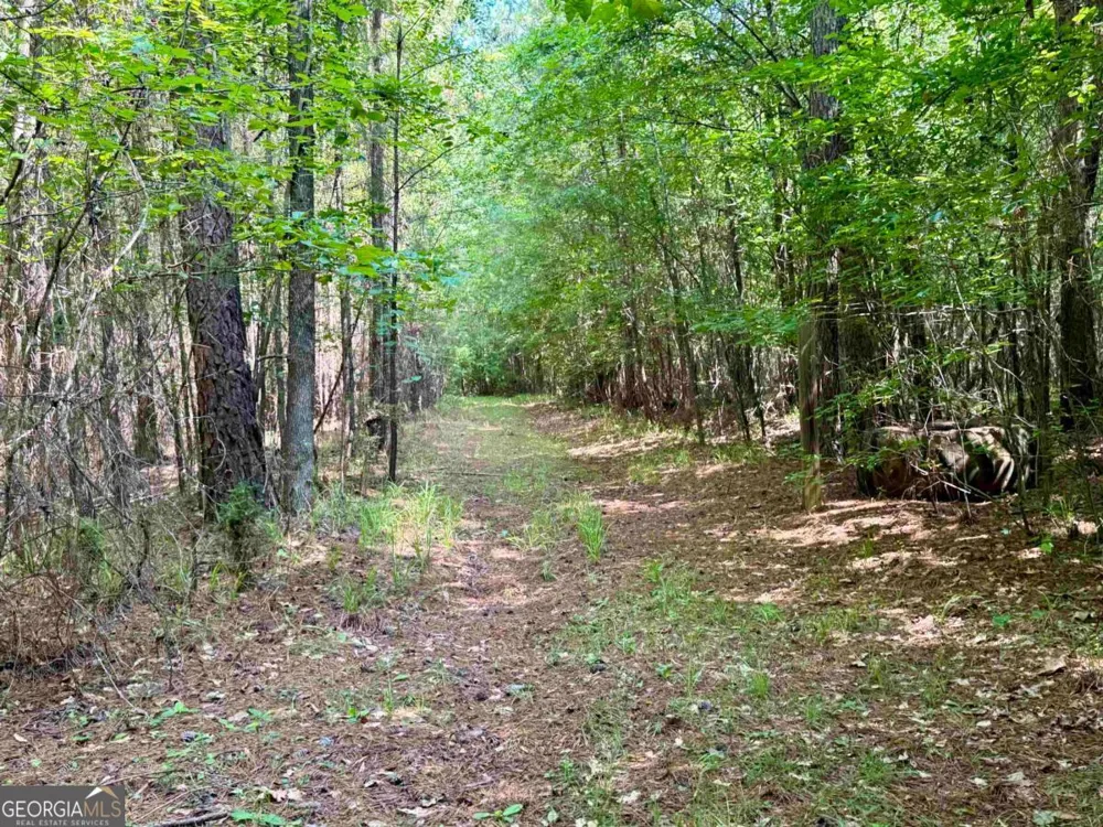 0 Springfield / Turner RD Union Point, GA 30669