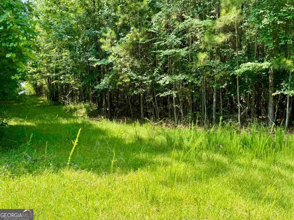 0 Springfield / Turner RD Union Point, GA 30669