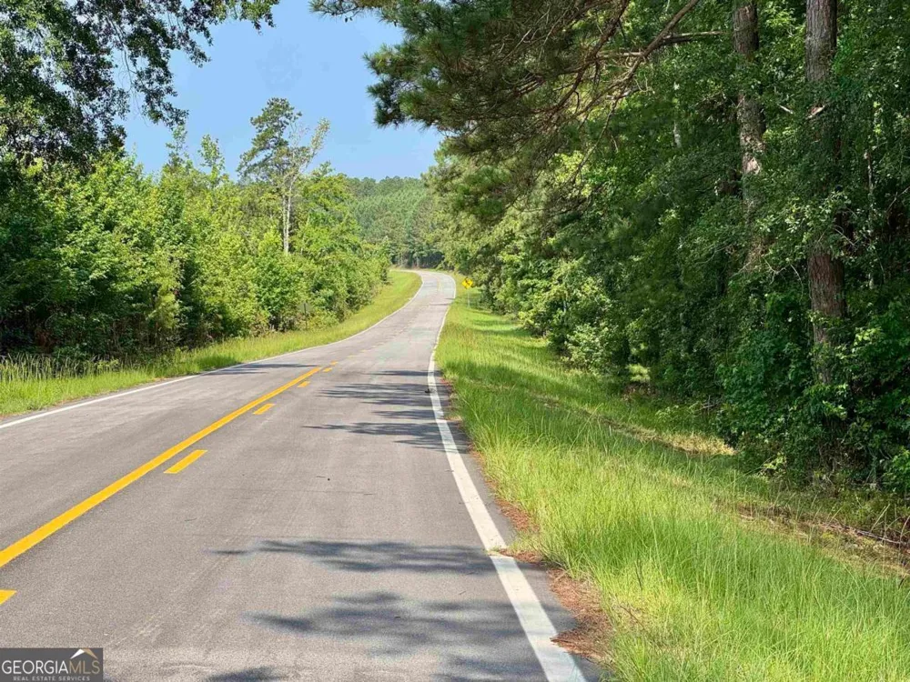 0 Springfield / Turner RD Union Point, GA 30669
