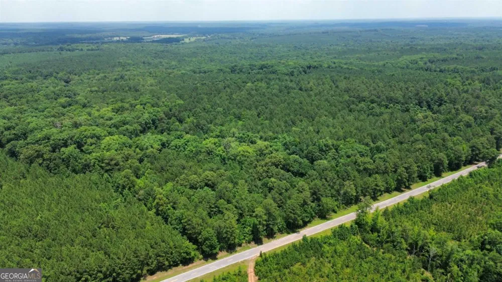 0 Springfield / Turner RD Union Point, GA 30669