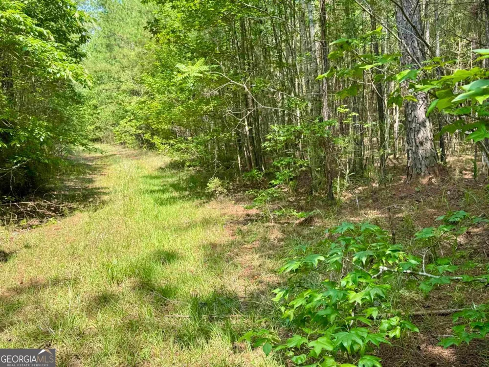 0 Springfield / Turner RD Union Point, GA 30669