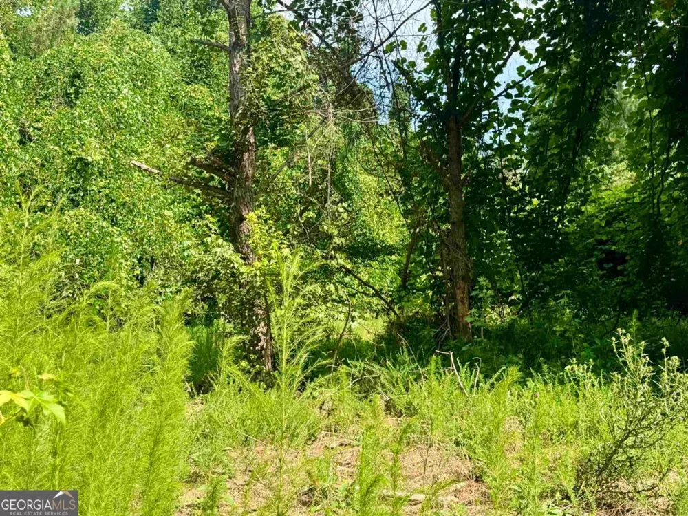 0 Springfield / Turner RD Union Point, GA 30669
