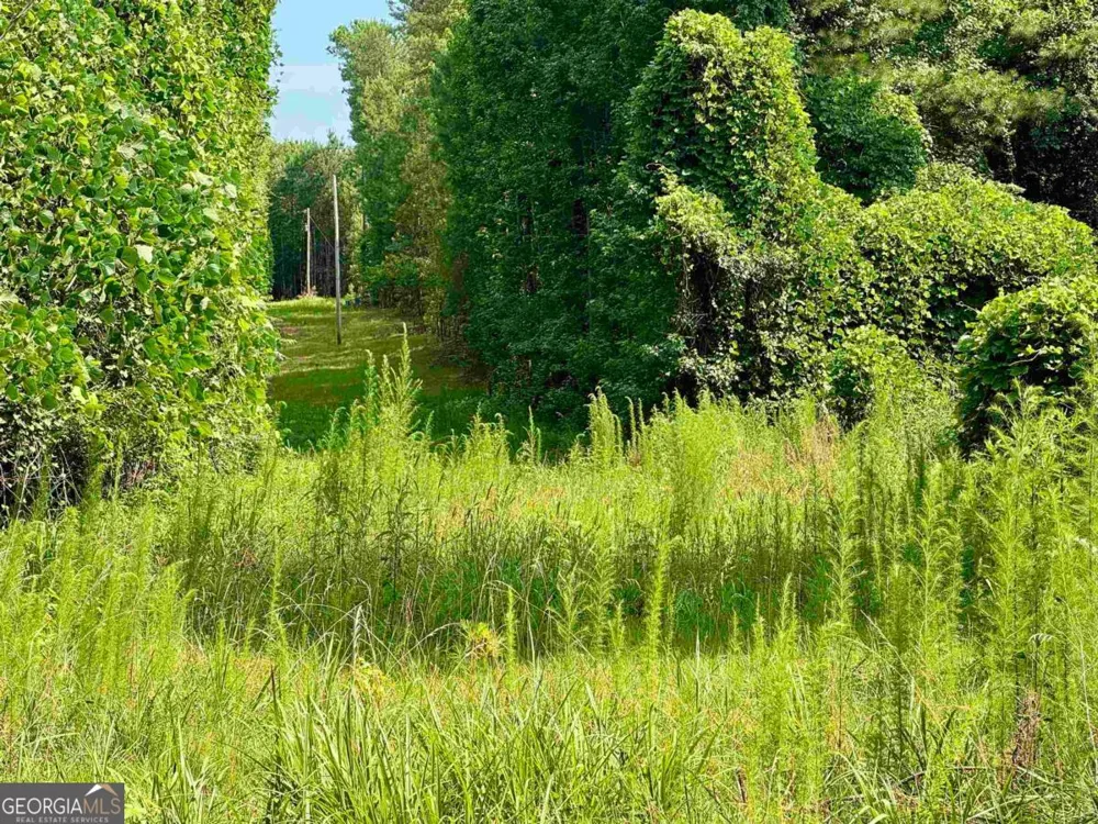 0 Springfield / Turner RD Union Point, GA 30669