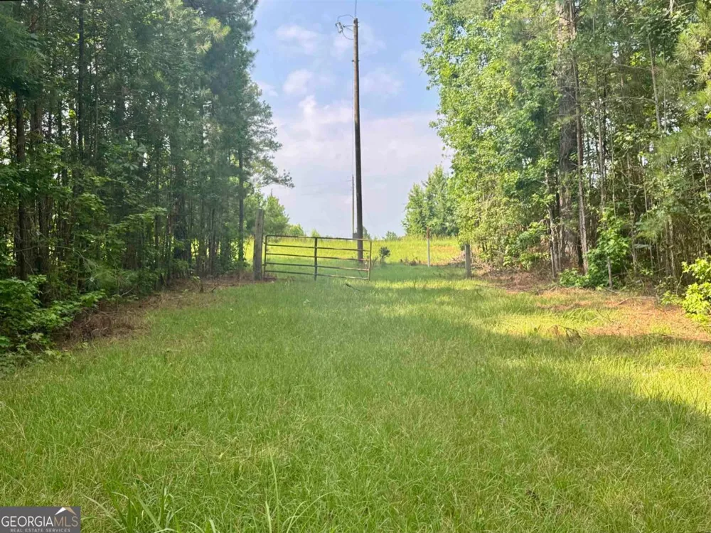 0 Springfield / Turner RD Union Point, GA 30669