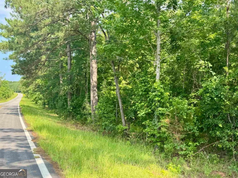0 Springfield / Turner RD Union Point, GA 30669