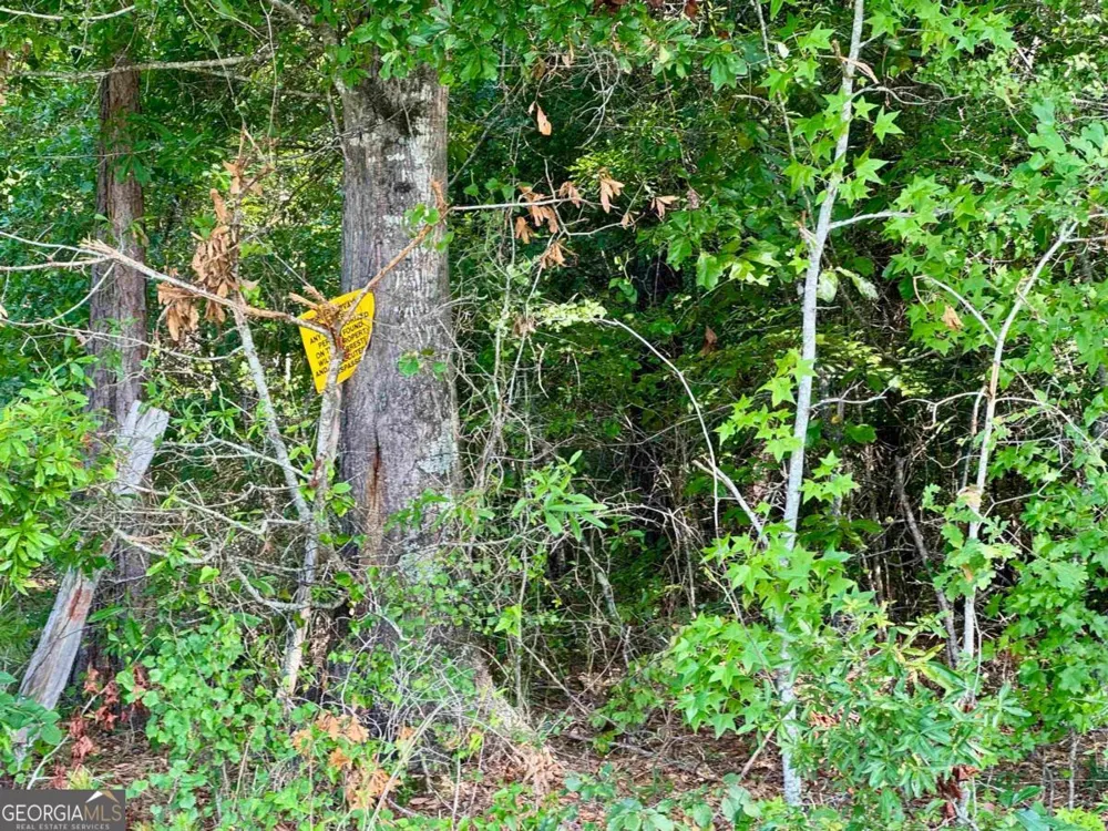 0 Springfield / Turner RD Union Point, GA 30669
