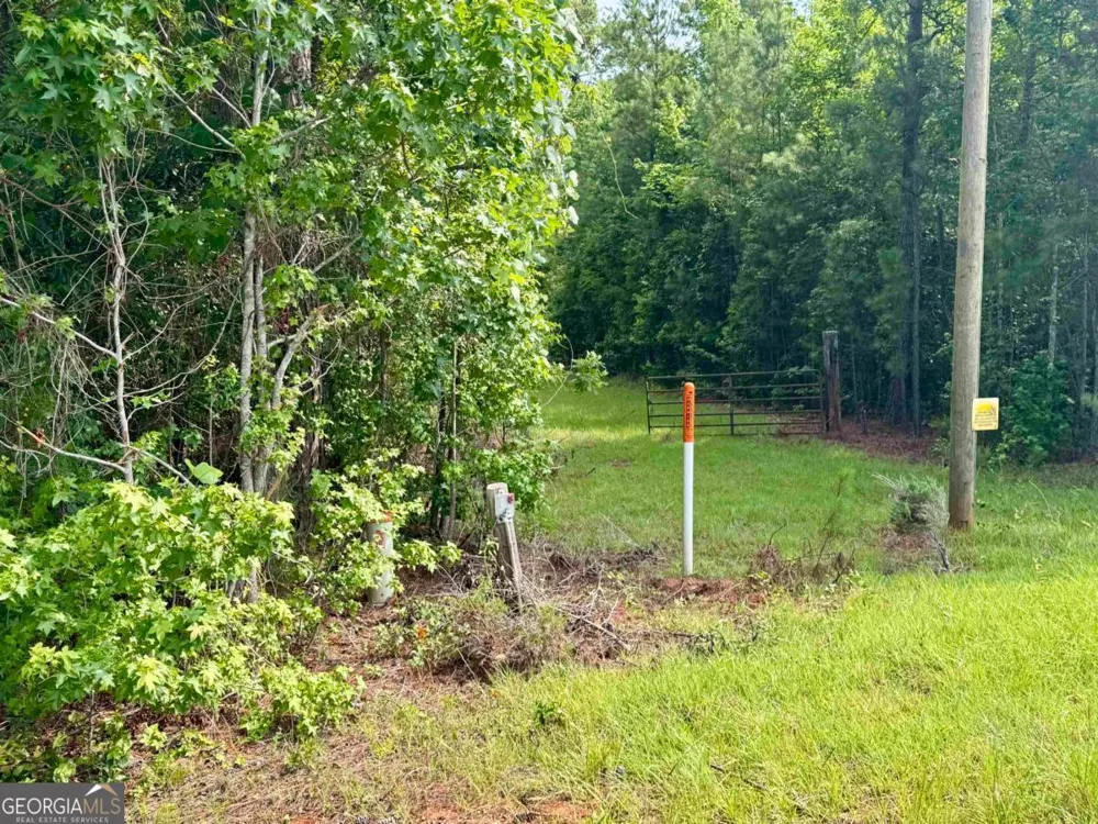 0 Springfield / Turner RD Union Point, GA 30669